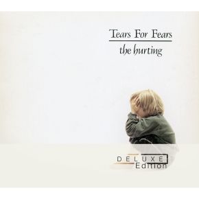 The hurting | Tears for Fears. Musicien