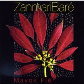 Mayok flér | Zanmari Baré. Chanteur