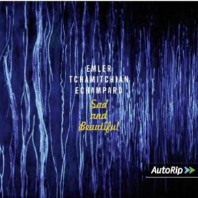 Sad and beautiful | Andy Emler (1958-....). Musicien. Piano