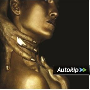 The classic | Joan As Police Woman. Musicien