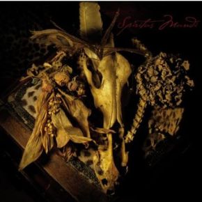 Spiritus mundi | Aqua Nebula Oscillator. Musicien