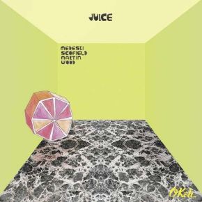 Juice | John Medeski (1965-....). Musicien. Piano
