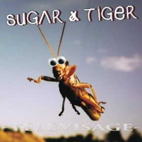 Télévisage | Sugar & Tiger. Musicien