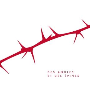 Des angles et des épines | Cabadzi. Musicien