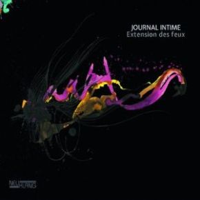 Extension des feux | Journal Intime. Musicien