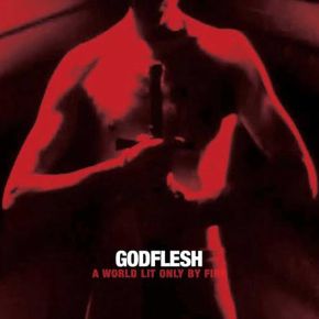 A world lit only by fire | Godflesh. Musicien