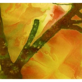 Edges of my mind | Peg Carrothers. Chanteur