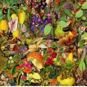 Destination qualité | 