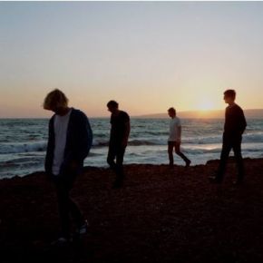 Modern nature | The Charlatans. Musicien