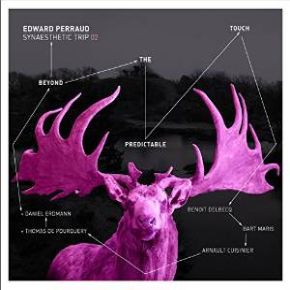 Synaesthetic trip. 02, Beyond the predictable touch | Edward Perraud (1971-....). Musicien. Batterie. Musicien. Percussion. Musicien. Synthétiseur