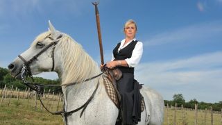 couverture de : F&eacute;es des Bious