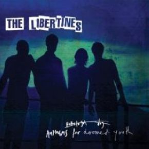 Anthems for doomed youth : deluxe edition | The Libertines. Musicien