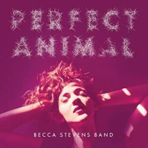 Perfect animal | Becca Stevens. Musicien. Guitare. Chanteur