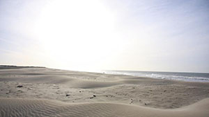 couverture de : 360ʻ G&eacute;o - 220 - Camargue - La guerre des Tellines