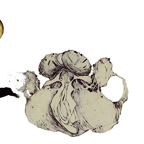 Apes of Naples | Coil. Musicien