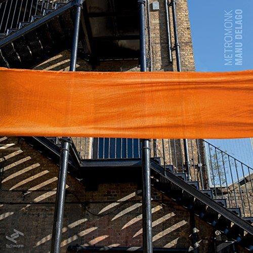 Metromonk | Manu Delago. Musicien