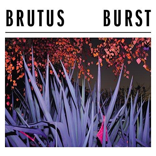 Burst | Brutus