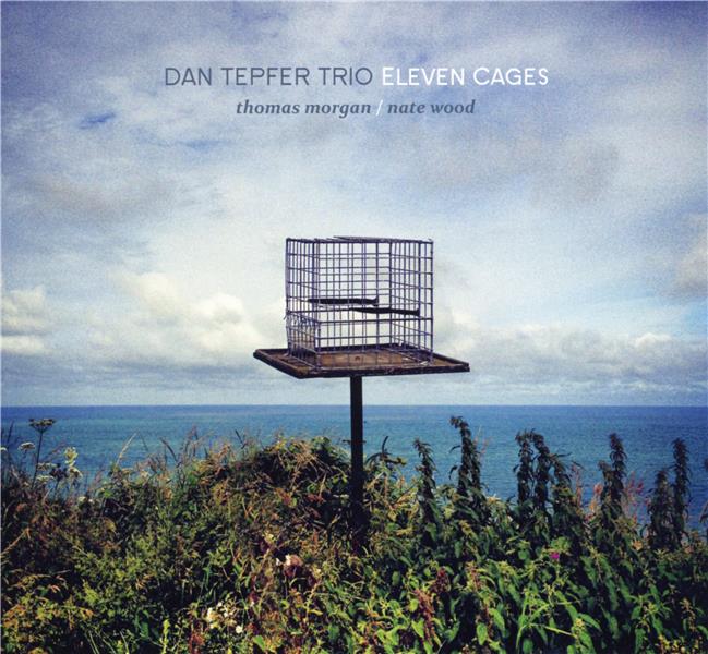 Eleven cages | Dan Tepfer Trio. Musicien