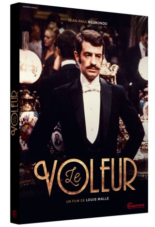 Couverture de Le Voleur