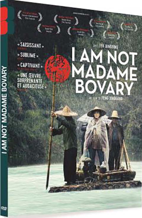 I am not Madame Bovary