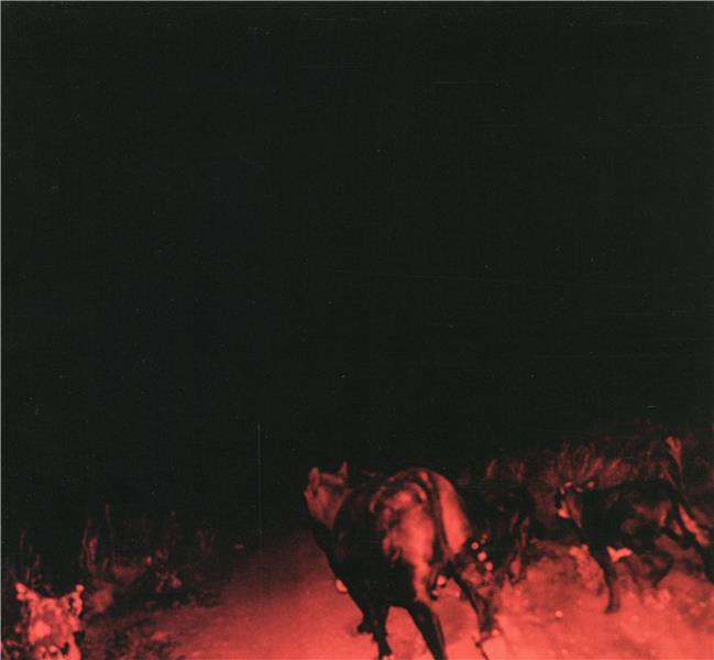 Shadow on everything | Bambara. Musicien