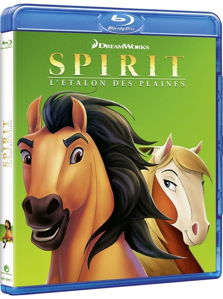 Spirit : l'Etalon des plaines = Spirit : Stallion of the Cimarron / Kelly Asbury, Lorna Cook | Asbury, Kelly. Metteur en scène ou réalisateur