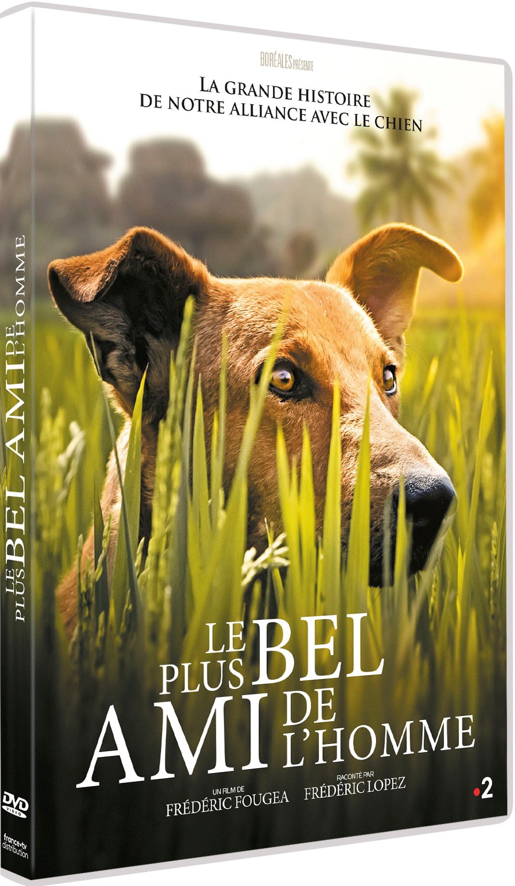 couverture de : Le Plus bel ami de l'homme