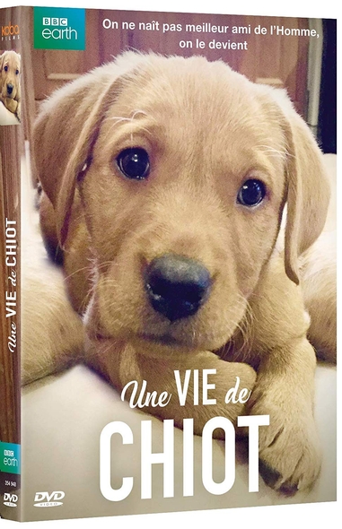 Une vie de chiot