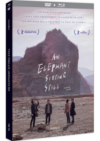 An Elephant Sitting Still / Film de Hu Bo | Bo , Hu . Metteur en scène ou réalisateur. Scénariste. Antécédent bibliographique