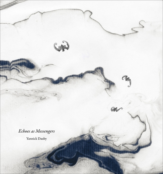 Echoes as messengers | Yannick Dauby. Interprète